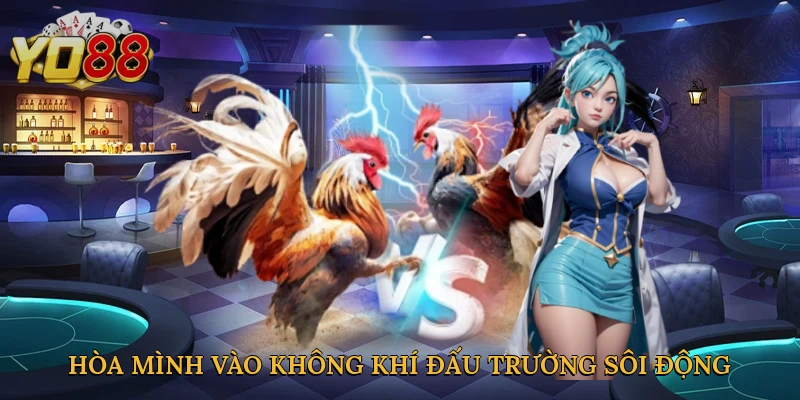 Hòa mình vào không khí đấu trường sôi động