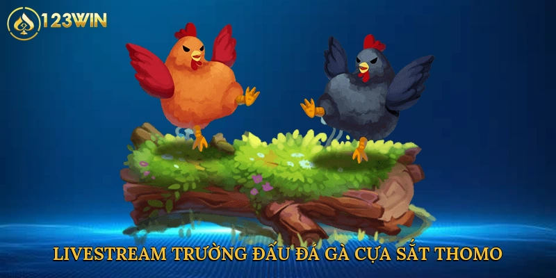 livestream-truong-dau-da-ga-cua-sat-thomo-2