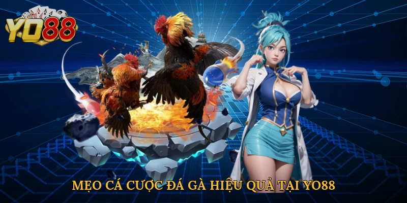 Mẹo cá cược đá gà hiệu quả tại Yo88
