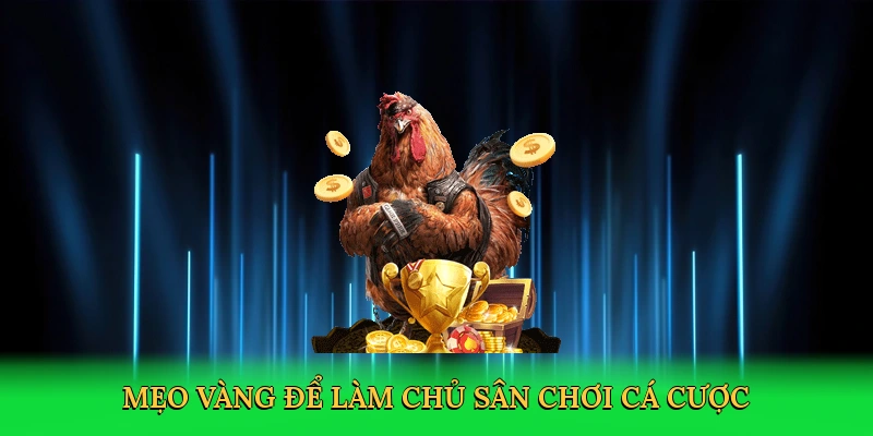Mẹo vàng để làm chủ sân chơi cá cược