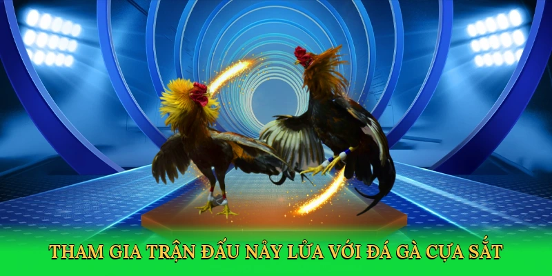 Tham gia trận đấu nảy lửa với đá gà cựa sắt