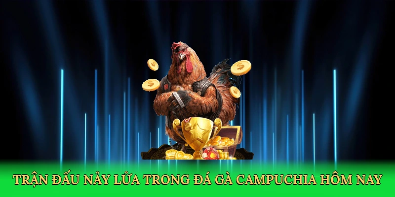 tran-dau-nay-lua-trong-da-ga-campuchia-hom-nay-2