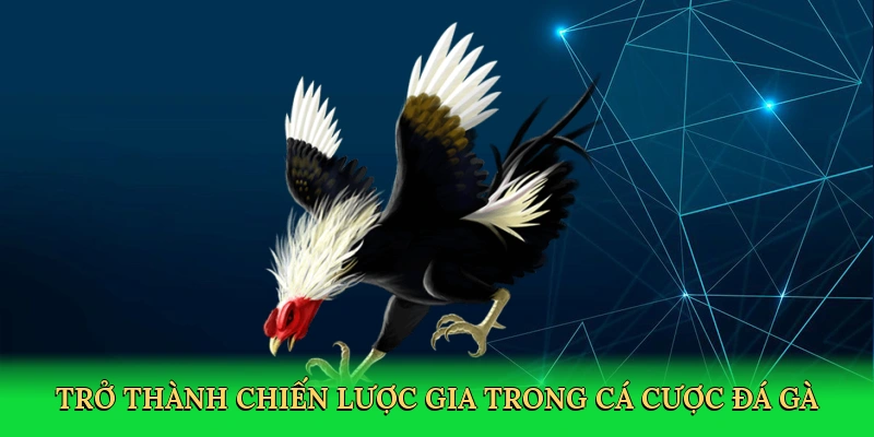 tro-thanh-chien-luoc-gia-trong-ca-cuoc-da-ga-4