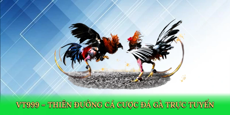 vt999--thien-duong-ca-cuoc-da-ga-truc-tuyen-3